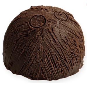COCONUT CAKE (24 units/case)
