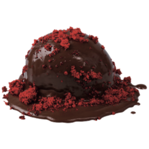 Chocolate Raspberry Fountain Mini Cake